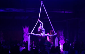 Aerial performer in a white, patterned bodysuit gracefully balances on silks above a crowd in a dimly lit venue. Purple lights create an ethereal ambiance.